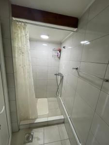 een badkamer met een douche en een douchegordijn bij Zabljak studio apartment 1 in Žabljak