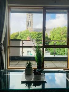 einen Blick auf einen Uhrturm aus einem Fenster mit Pflanzen auf einem Tisch in der Unterkunft Courthouse View Penthouse in Clifden