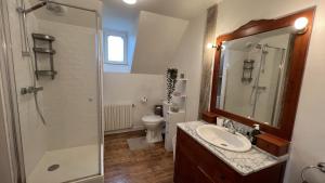 ein Bad mit einem Waschbecken, einer Dusche und einem WC in der Unterkunft Appartement au coeur de la Suisse normande in Thury-Harcourt