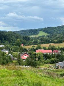 a small town in the hills with houses and trees at Domek u Pilota in Ropienka