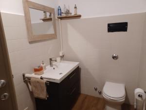 uma casa de banho com um lavatório, um WC e um espelho. em Dream10 em Parabiago