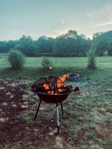 a grill in the middle of a field at La Pierre des Volcans Chaleureux Calme Champêtre in Aydat