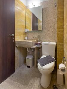 a bathroom with a toilet and a sink and a mirror at Helios Guest House in Faraí