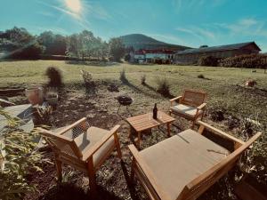 Príroda v okolí apartmánu