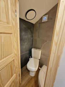 a small bathroom with a toilet and a mirror at OZO Estrade No2 MINI apartment in Jūrmala