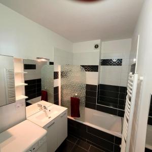 La salle de bains est pourvue d'un lavabo, d'une douche et d'une baignoire. dans l'établissement Le Libé, à Grenoble