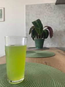 un vaso de cerveza sentado en una mesa con una planta en Apartament Smile, en Tomice