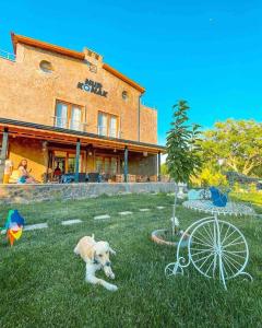 a dog laying in the grass in front of a building at Nur Konak Bungalov 7 in Çanakkale