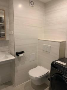 ザンクト・エングルマールにあるPleskini Apartmentのバスルーム(白いトイレ、シンク付)