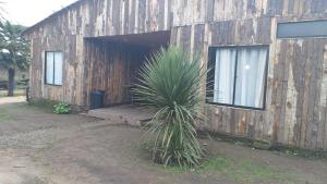 un edificio in legno con una palma di fronte di Cabañas Rusticas ElAire 