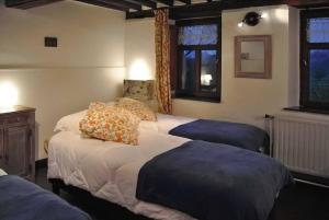 1 Schlafzimmer mit 2 Betten und 2 Fenstern in der Unterkunft Le Chat Roi - Charneux in Herve