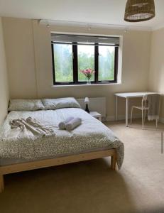 Schlafzimmer mit einem Bett, einem Fenster und einem Tisch in der Unterkunft Oasis in Buckinghamshire