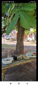 una mesa de picnic bajo un árbol con platos de comida en Koňsky ap, en Pouzdřany