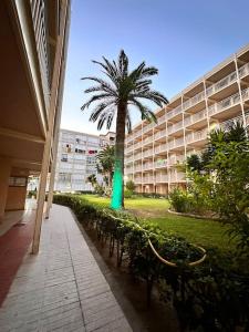 a palm tree in front of a large building at A pie de PLAYA in La Pineda +19 photos