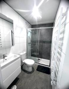 a bathroom with a shower and a toilet and a sink at Apartament Holiday in Dąbki