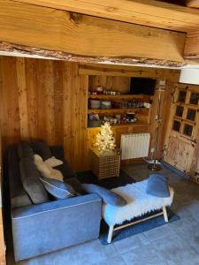 un salon avec un canapé et une table dans l'établissement BEAU CHALET DE MONTAGNE SERRE CHEVALIER AU PIED DES PISTES PLEIN SUD, à La Salle Les Alpes