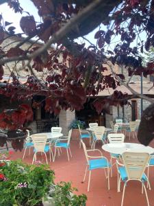 AlleronaCountry House La Collina di Bargiano - Casa Raffaella的相册照片