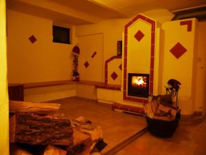 a living room with a fireplace in a room at Gelber Löwe B&B Nichtraucherhotel in Schwabach