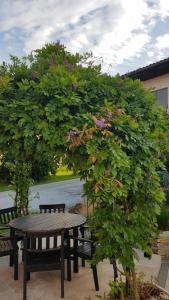 Vonkajšia záhrada v ubytovaní Ferienwohnung mit Pool an der Apfelstraße