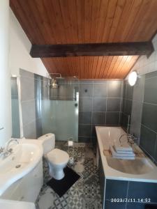 ein Badezimmer mit einer Badewanne, einem WC und einem Waschbecken in der Unterkunft Dependance du Moulin Galuzot in Saint-Vallier