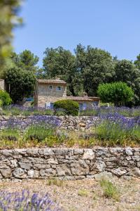 Κήπος έξω από το Le Barretian