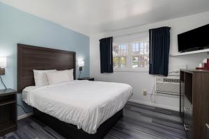 Кровать или кровати в номере Snyders Shoreline Inn