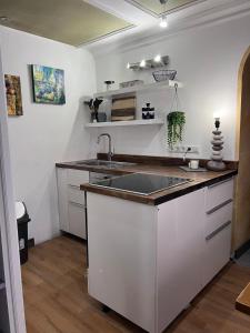 una cucina con lavandino e piano di lavoro di Ferienwohnung am Kirchberg a Ettenheim