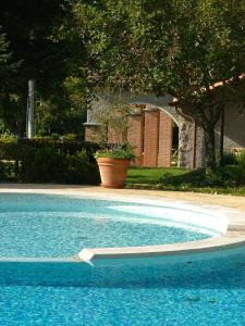 une piscine bleue avec une plante dans une cour dans l'établissement La Terrazza sulla Versilia, à Vitoio