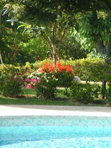 - un jardin fleuri à côté d'une piscine dans l'établissement La Terrazza sulla Versilia, à Vitoio