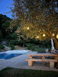 un banc en bois assis sous un arbre à côté d'une piscine dans l'établissement La Terrazza sulla Versilia, à Vitoio