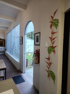 a hallway with a plant on the wall at Hermosa Hacienda Las Heliconias in Oaxaca City