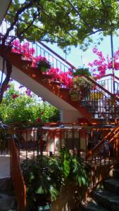 Jardin de l'établissement Marthas Studios
