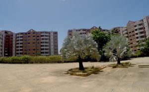 two palm trees in a parking lot with buildings at Lo mejor de isla Margarita in Pampatar