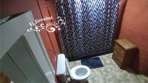 a bathroom with a toilet and a shower at EL ARRABAL in Uspallata