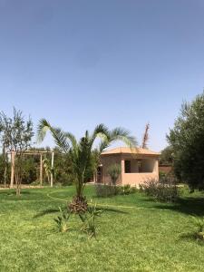 a house with a palm tree in a yard at villa Oulad Hassoune in Mellah Bakka