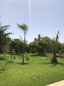 a park with palm trees in the grass at villa Oulad Hassoune in Mellah Bakka
