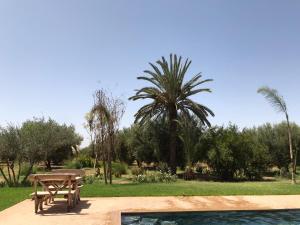 a picnic table in a park with a palm tree at villa Oulad Hassoune in Mellah Bakka