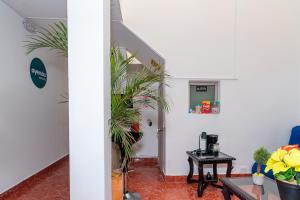 um quarto com um corredor com uma mesa e plantas em Hotel Mazal Rionegro em Rionegro