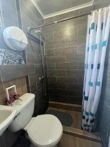 y baño con aseo, lavabo y ducha. en Hostel 53 Sur en Puerto Natales