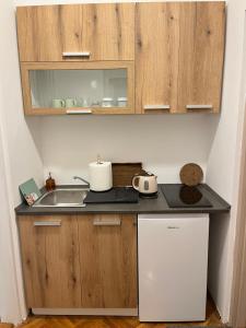 Kuchyň nebo kuchyňský kout v ubytování Guest Radic Apartment 2