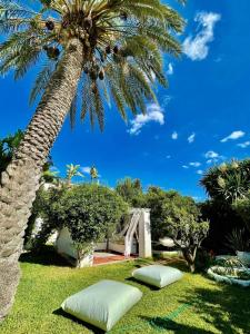 two pillows laying on the grass under a palm tree at Dar chelbia in Hammamet