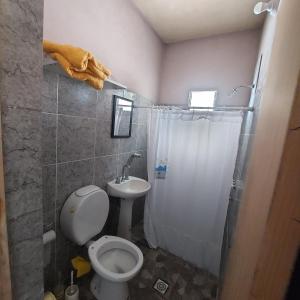 een badkamer met een toilet, een douche en een wastafel bij El gumer in San Fernando del Valle de Catamarca