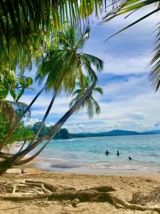 a beach with palm trees and people in the water at Cabinas Ole Caribe in Puerto Viejo