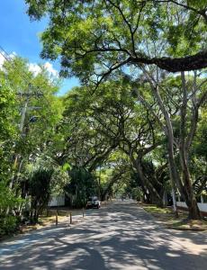 a tree lined street with a car parked on the road at Comodo Departamento en el sur de Cali in Cali