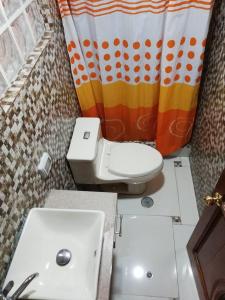 ein Badezimmer mit einem Waschbecken, einem WC und einem Duschvorhang in der Unterkunft Casa valicha ejecutivo in Cusco