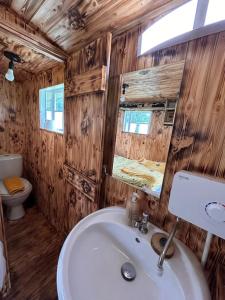 a bathroom with a white sink and a toilet at Ty Gwenyn, Coity Bach in Brecon