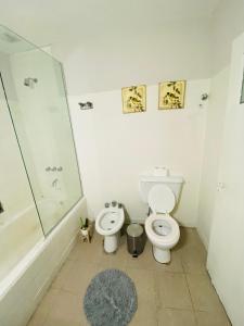 łazienka z toaletą i prysznicem w obiekcie Casa botanic, zona centrica, amplio y funcional w mieście Santiago del Estero
