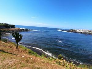 a tree on a hill next to a body of water at Casa Dos Mosteiros in Mosteiros