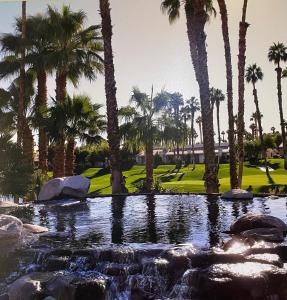 a pond with palm trees and a golf course at Palm Valley CC 2 Bdrms Den 2 Ba Lux Condo Best Location in Palm Desert