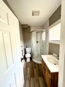 a bathroom with a shower and a toilet and a sink at Rustic Colonial Home with Private Rooms in Waterbury